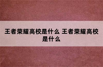 王者荣耀高校是什么 王者荣耀高校是什么